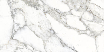 Castelvetra Luna Matte 24x48