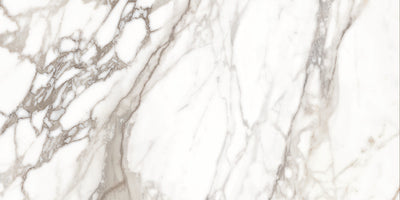 Luxuria Grigio Satin 12x24